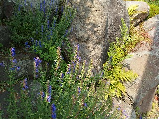 e0004756_21372391.jpg