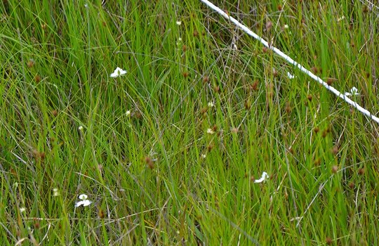 b0102572_22112018.jpg