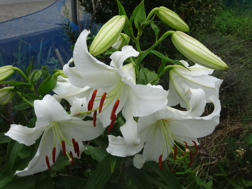 f0231573_22183340.jpg