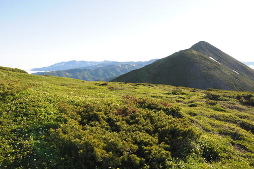 f0130376_19575851.jpg