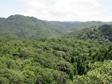 f0053885_20425869.jpg