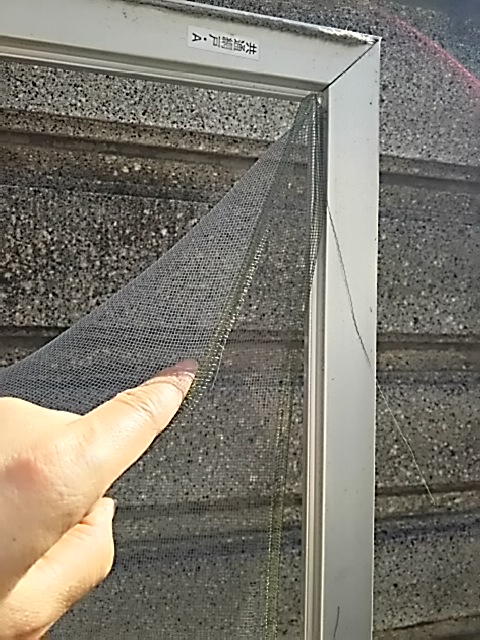 c0204188_11252390.jpg