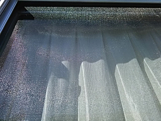 c0204188_11511827.jpg