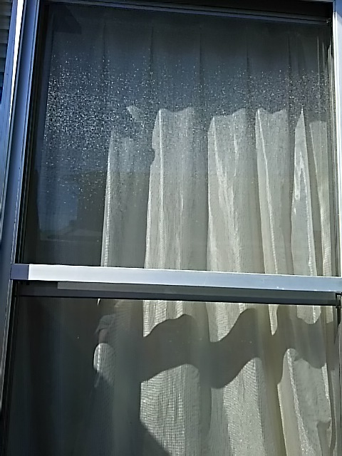 c0204188_1151370.jpg