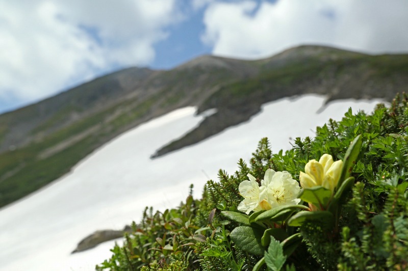 f0000789_22555381.jpg
