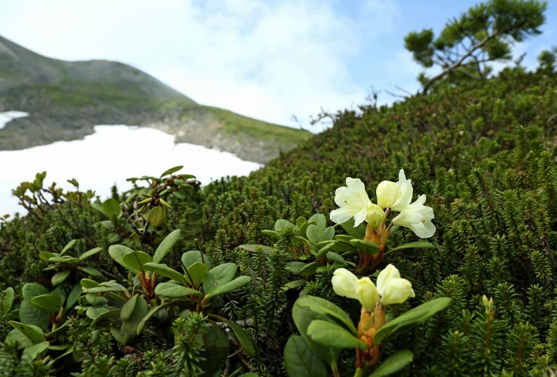 f0000789_22561511.jpg