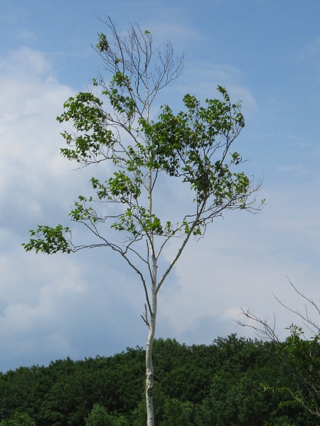 f0033598_1755586.jpg