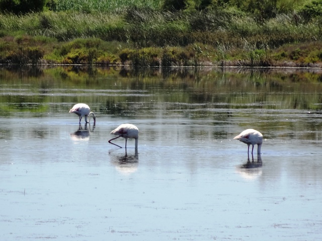 c0208200_143137.jpg