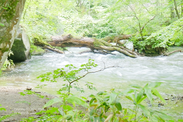 b0253706_20321495.jpg