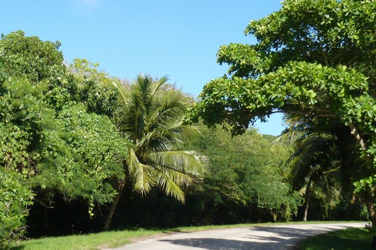 f0221708_13445543.jpg