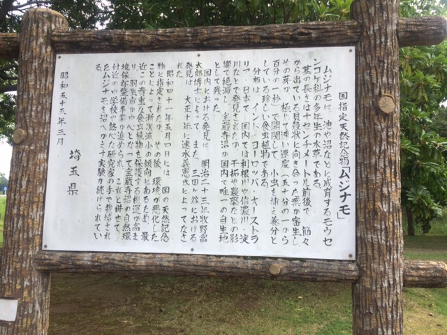 a0230928_14544585.jpg