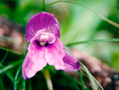 b0159328_22404559.png