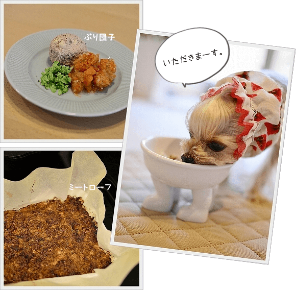 d0179828_11000109.png