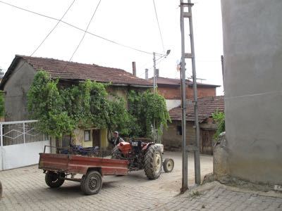 b0206831_17413294.jpg