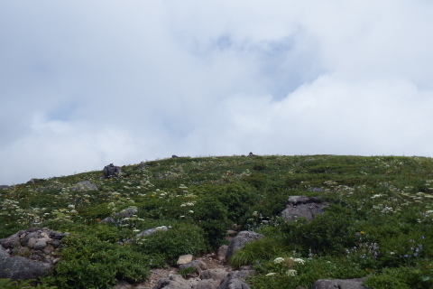 f0118332_11524140.jpg