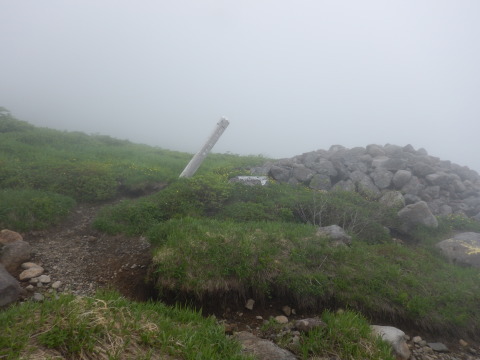 f0118332_12032312.jpg