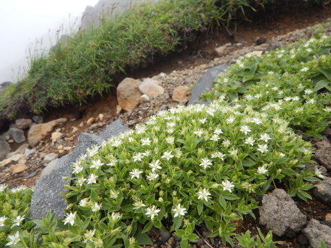 f0118332_12123688.jpg