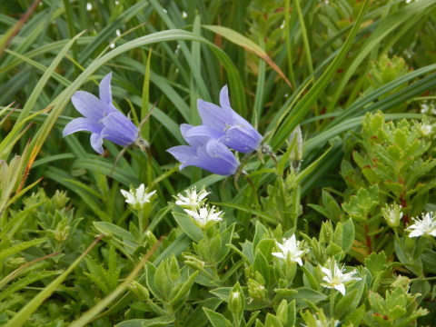 f0118332_12164434.jpg