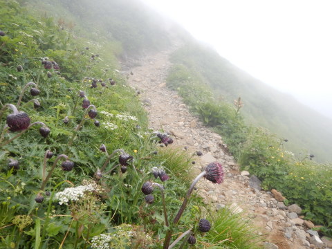 f0118332_12170115.jpg