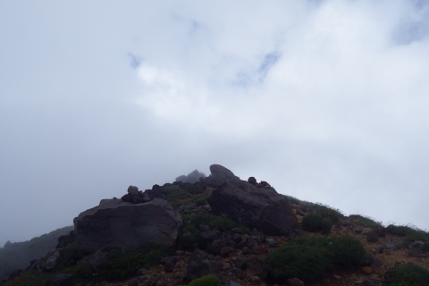 f0118332_12342499.jpg
