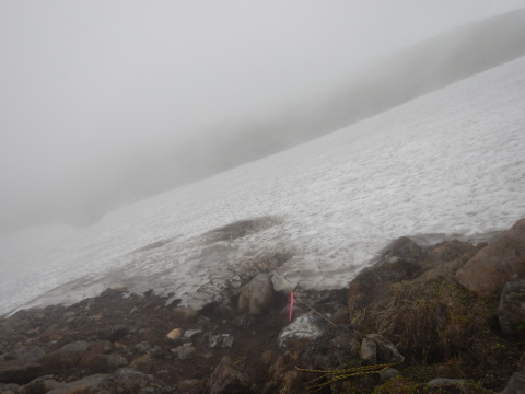 f0118332_12360158.jpg