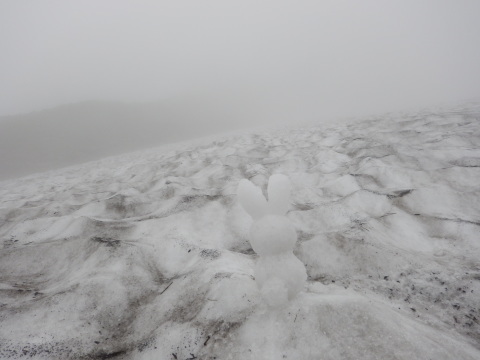 f0118332_12370721.jpg