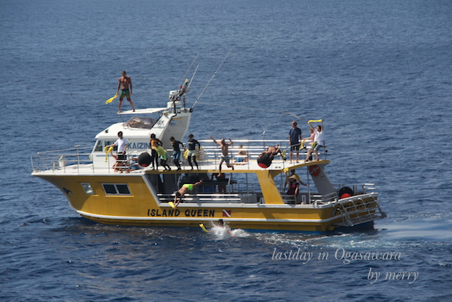 a0207736_21323632.jpg