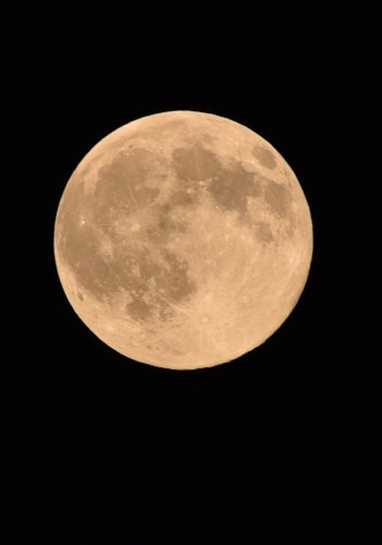 c0195439_22453830.jpg