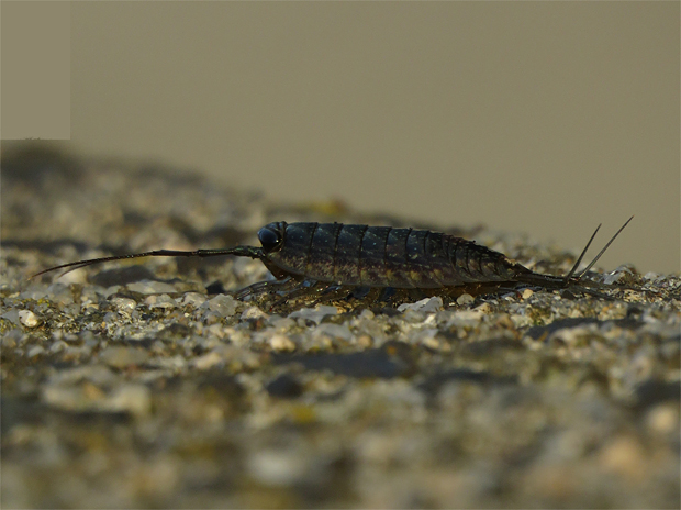 f0214649_17551816.jpg