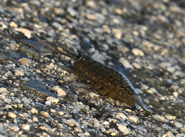 f0214649_175541.jpg