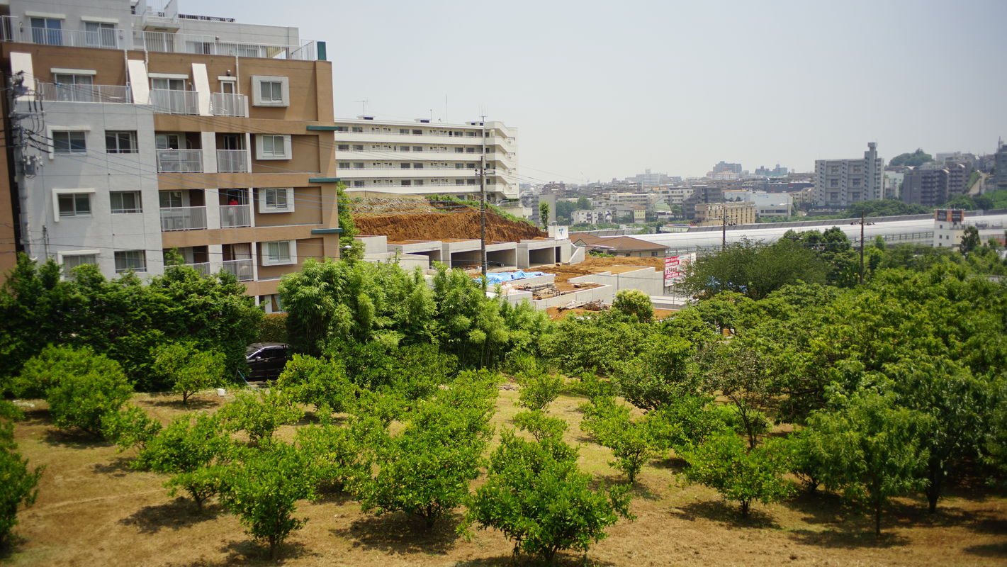 a0063552_1061576.jpg