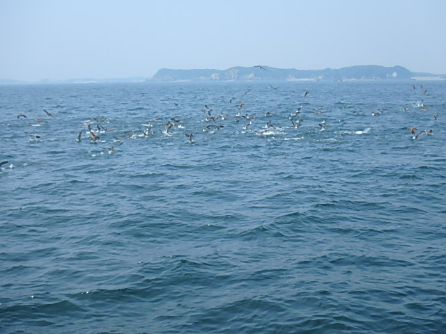a0248152_1822947.jpg