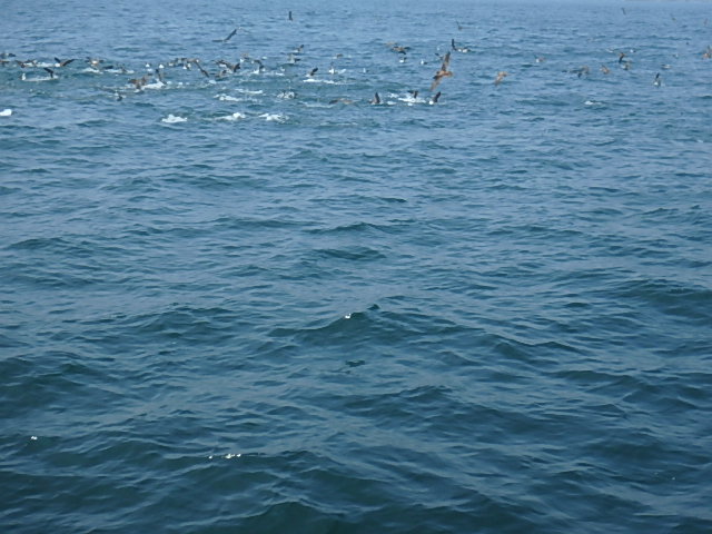 a0248152_18273931.jpg