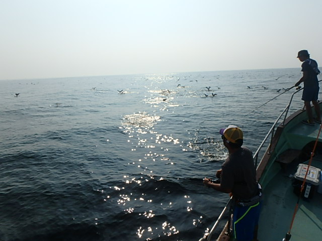 a0248152_18284965.jpg