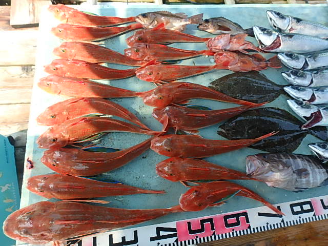 a0248152_18332057.jpg