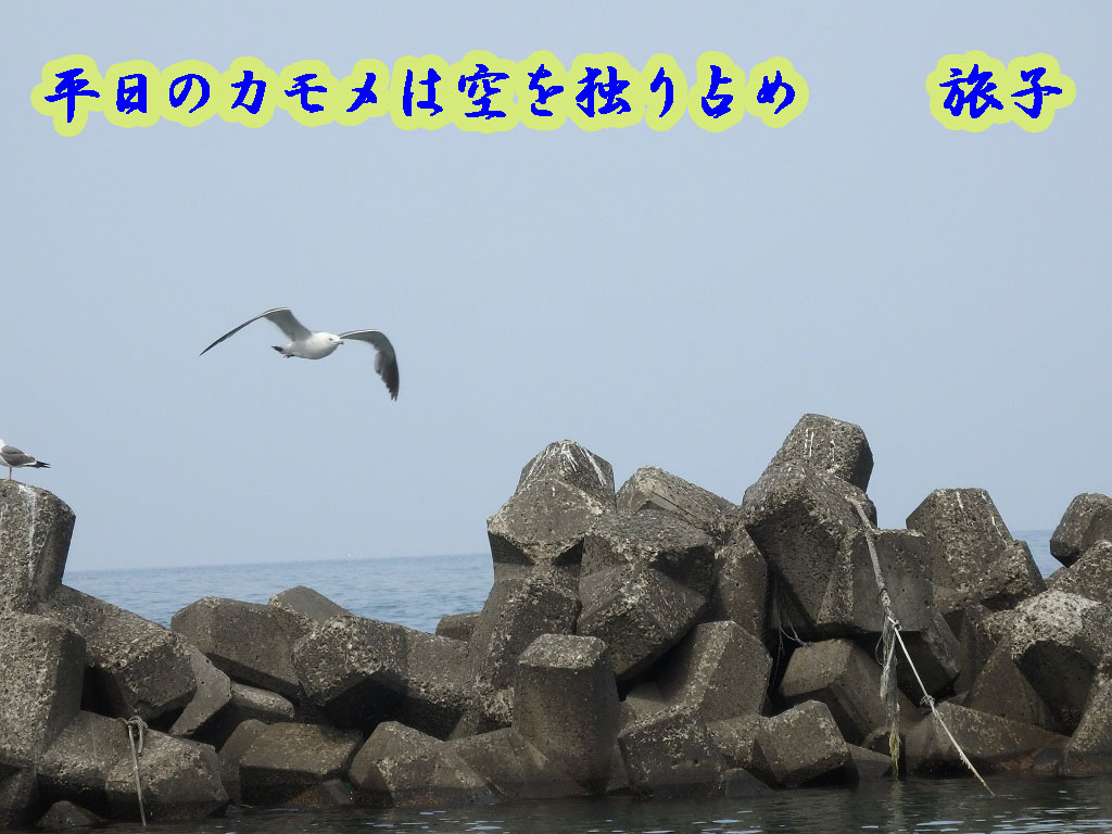a0193457_1626172.jpg