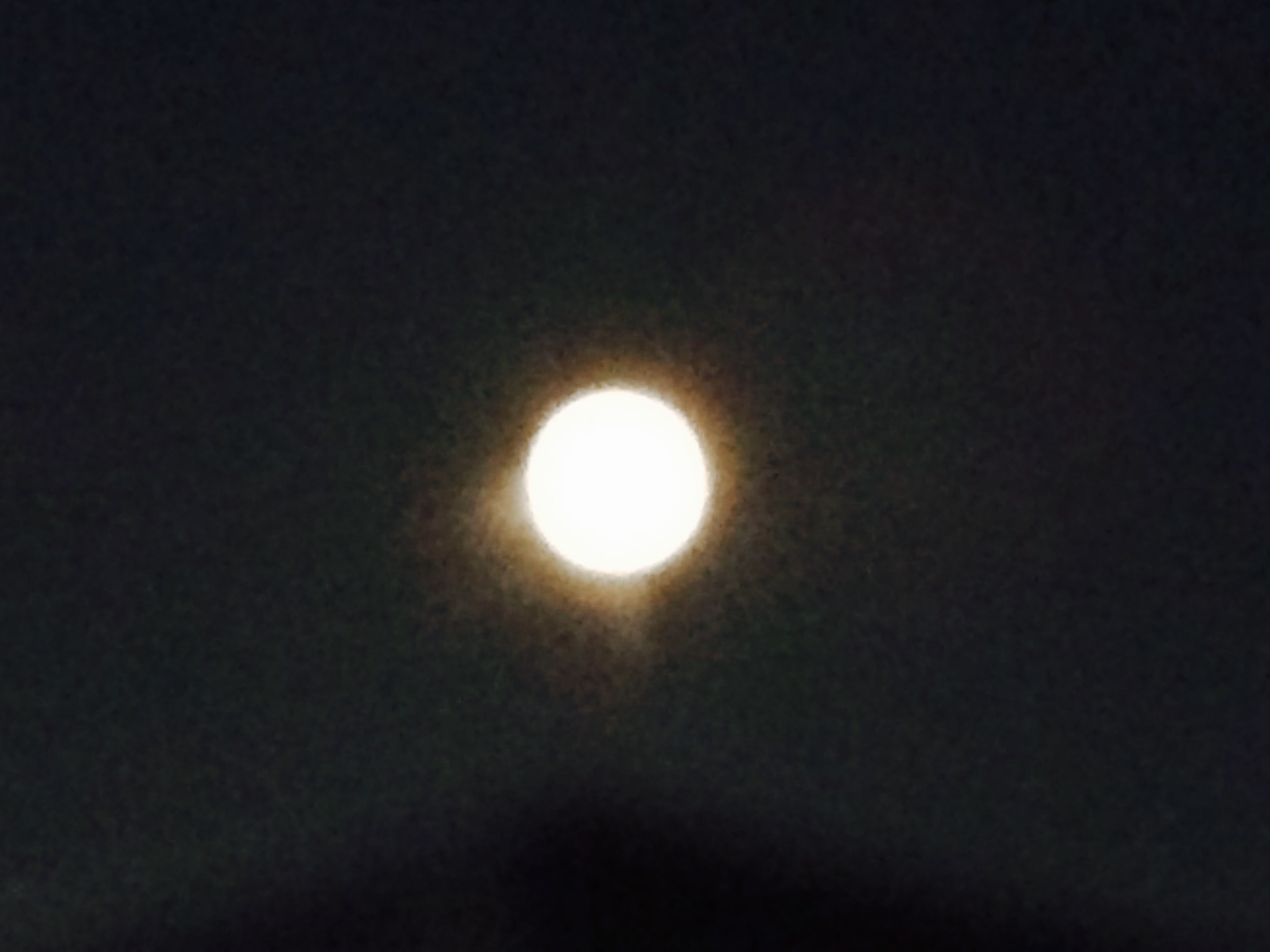 c0195362_20230175.jpg