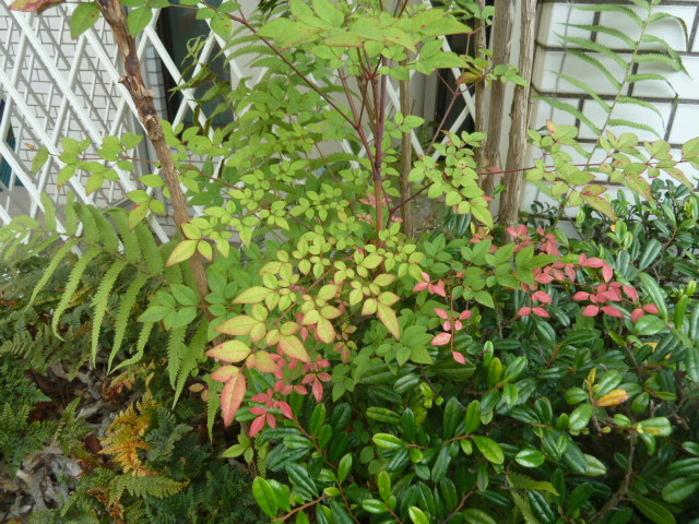 e0278968_21533830.jpg