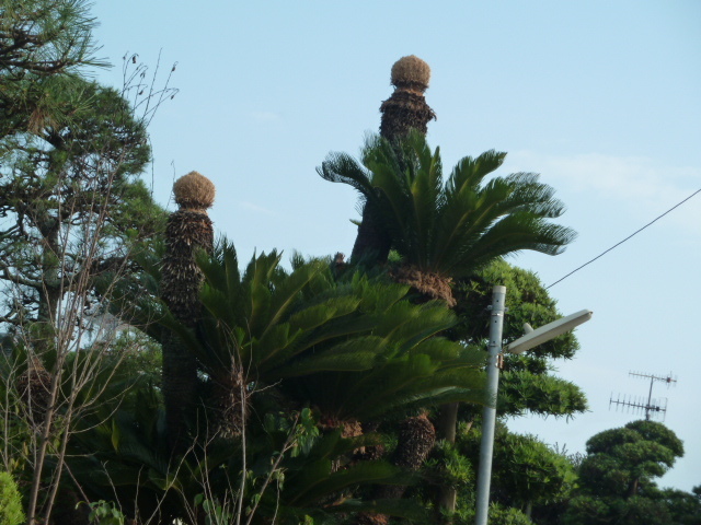 e0278968_21541635.jpg