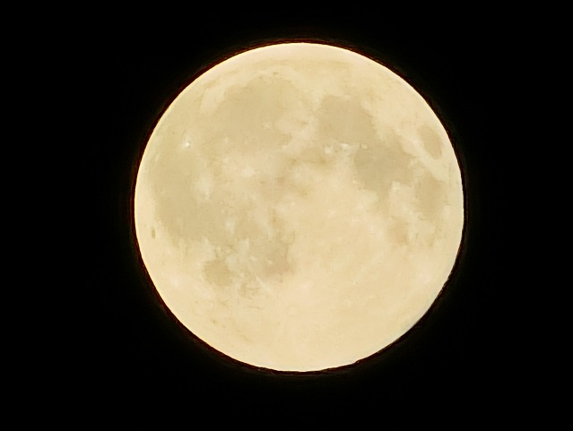 d0147774_2310219.jpg