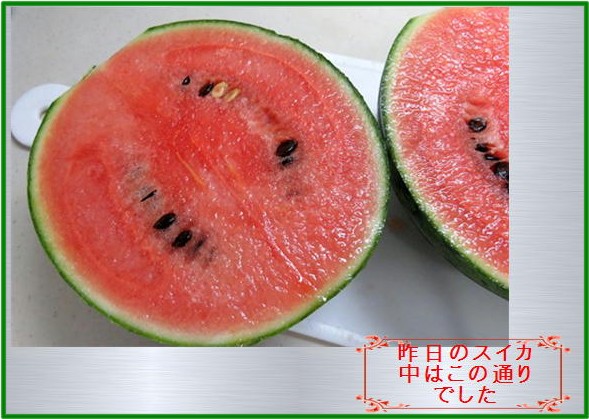 f0003174_13333367.jpg