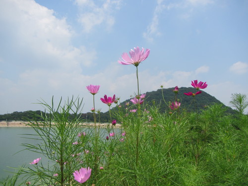 a0251786_17584359.jpg