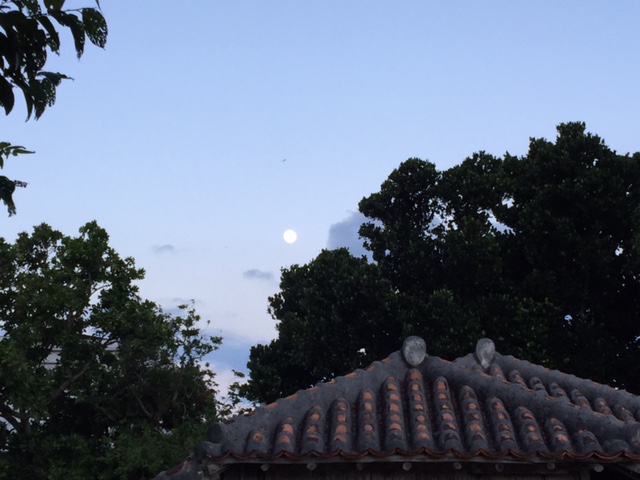 c0064389_23322042.jpg