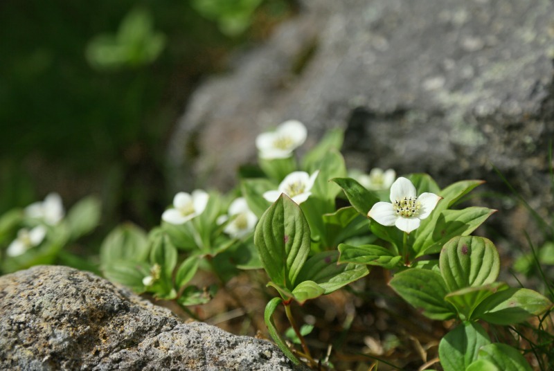 f0000789_2243033.jpg
