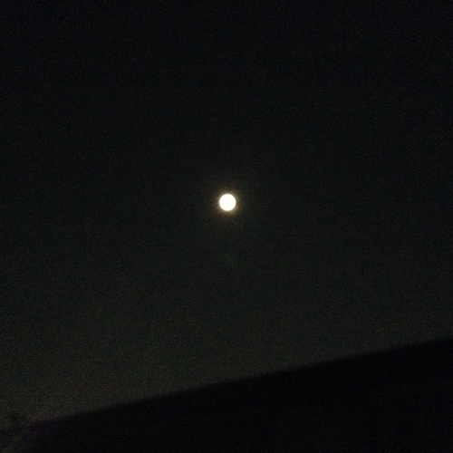 c0123890_2242795.jpg