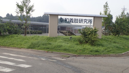 a0338094_01064129.jpg
