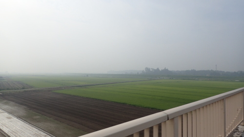 a0338094_21480845.jpg
