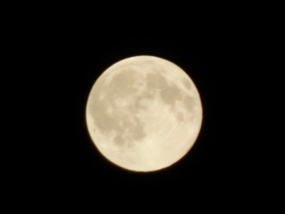 e0204795_22192348.jpg