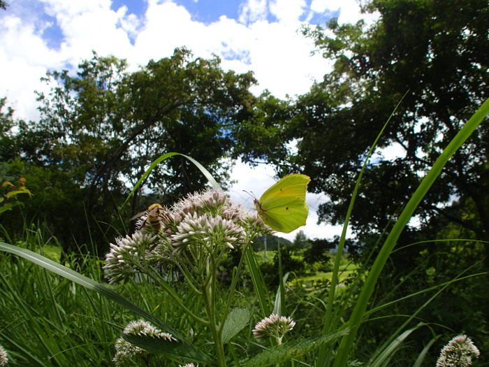 a0277496_08044041.jpg