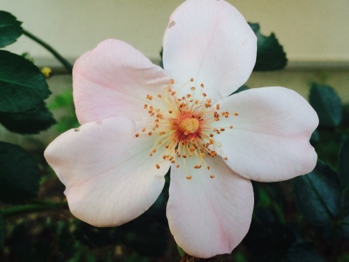 f0201297_12415244.jpg